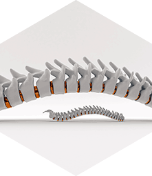 Darwin Chiropractic Clinic - Cover photo