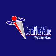 Data Plus Value 133999 - Logo