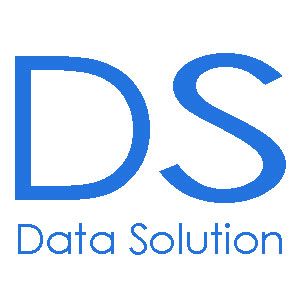 Data Solution - Logo