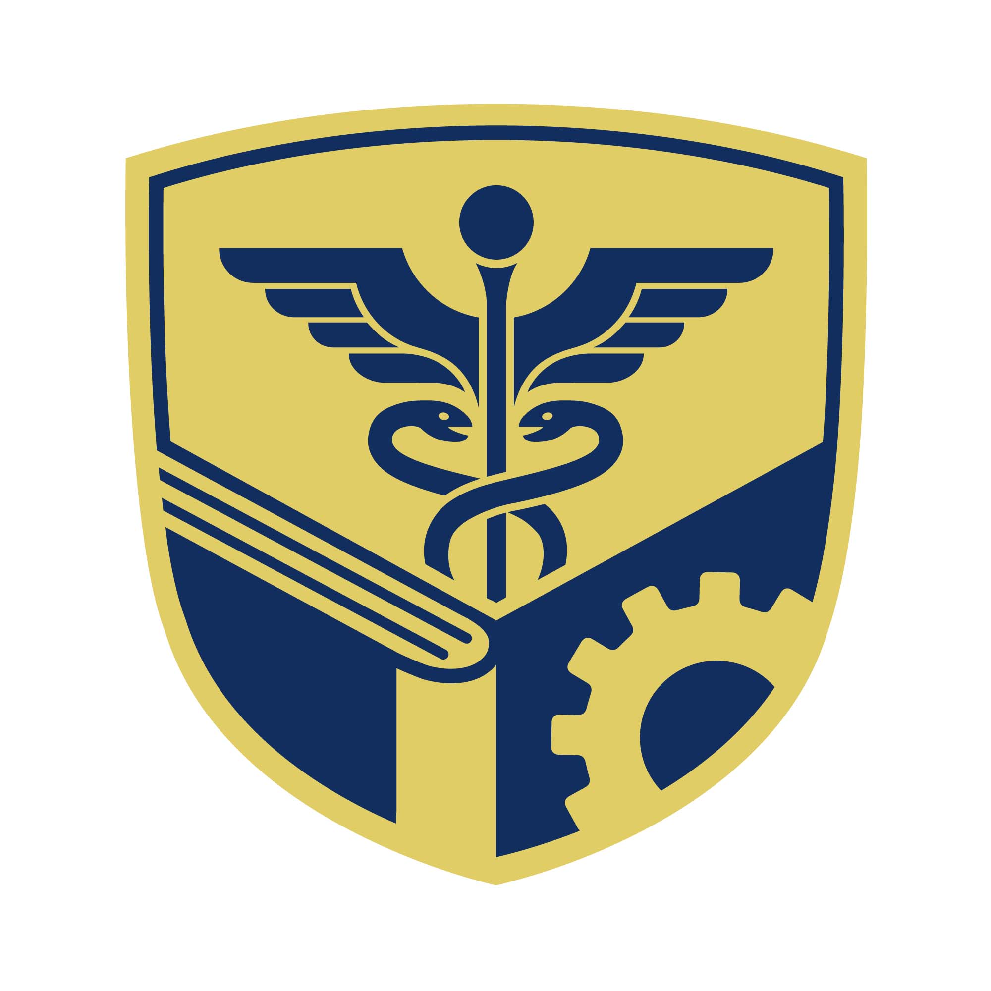 Datta Meghe Institute of Higher Education and Research. (DMIMS) - Logo