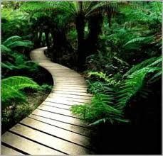 David Brasted Counselling & Psychotherapy - Cover photo
