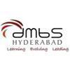 David Memorial Business School (DMBS) - Logo