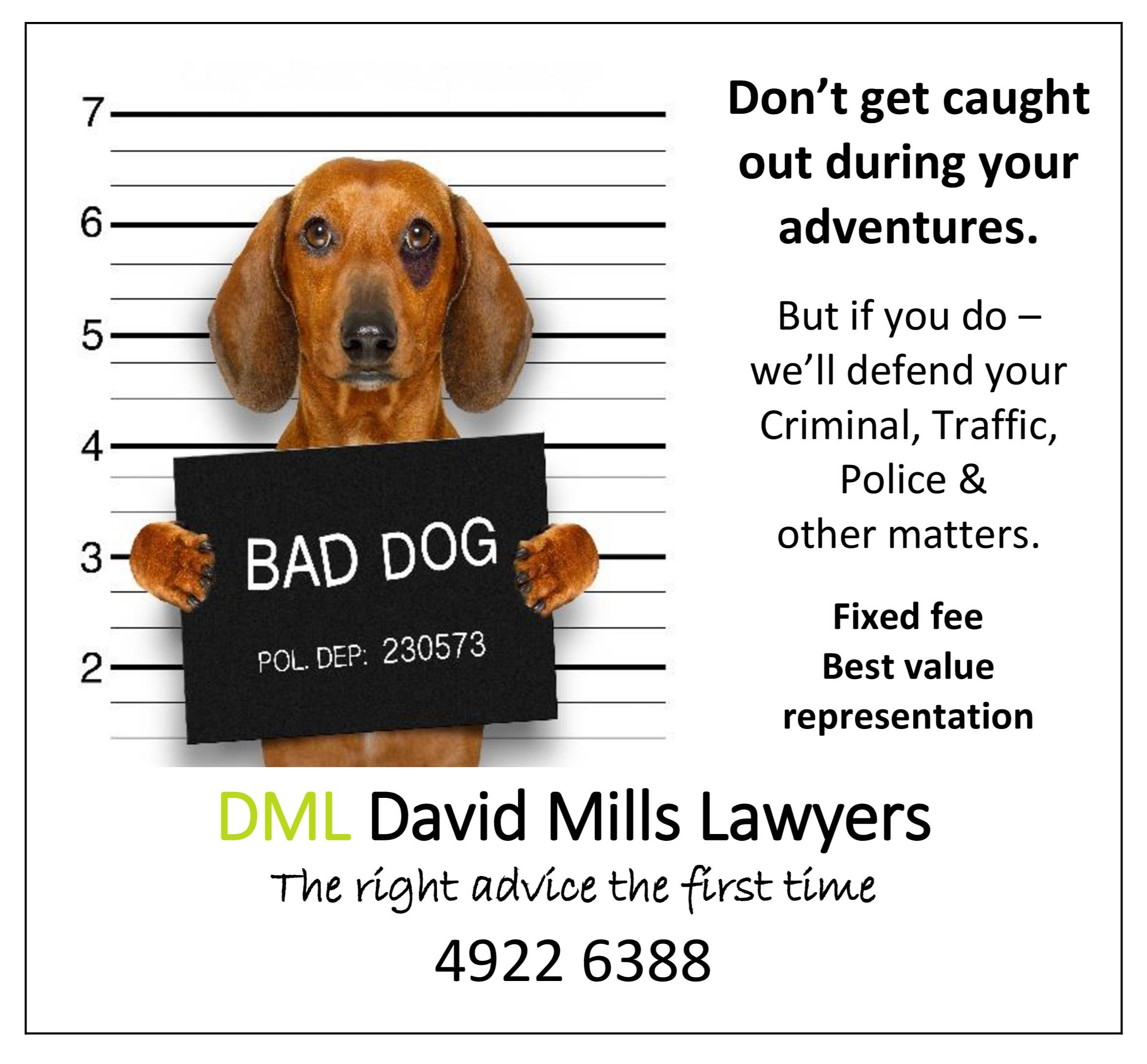 David Mills Lawyers - Logo