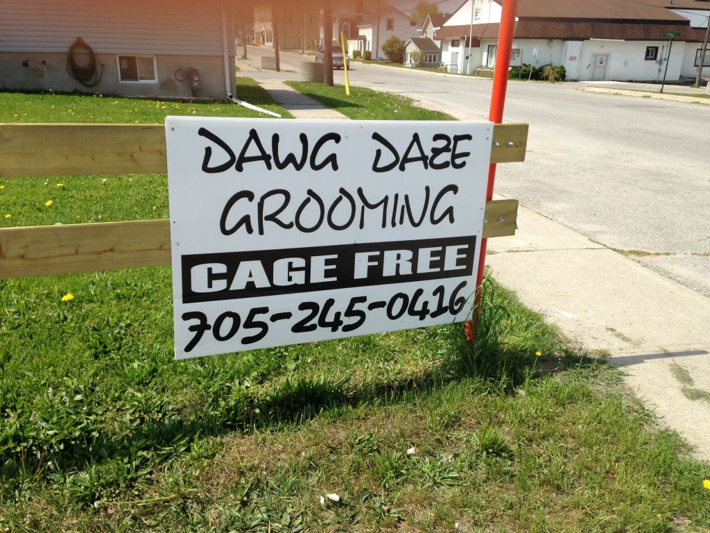 Dawg Daze Grooming - Logo