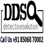Dds Detective Solution - Logo