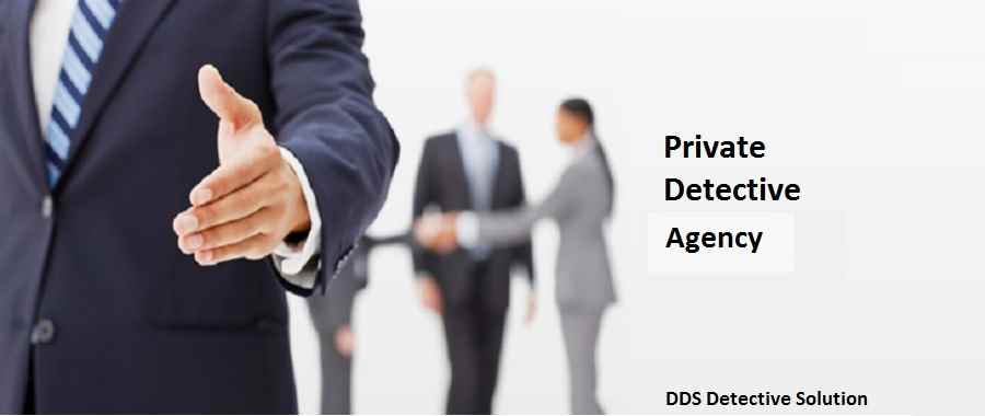 Dds Detective Solution - Cover photo