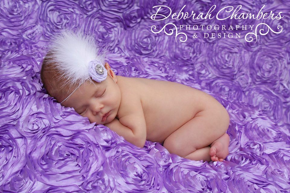 Deborah Chambers Photography - Logo
