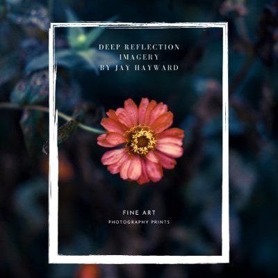 Deep Reflection Imagery - Logo