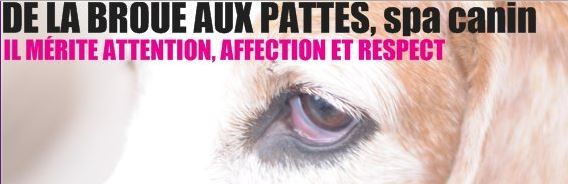 DE LA BROUE AUX PATTES - Logo