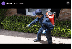 Delhi Pest Control - Logo