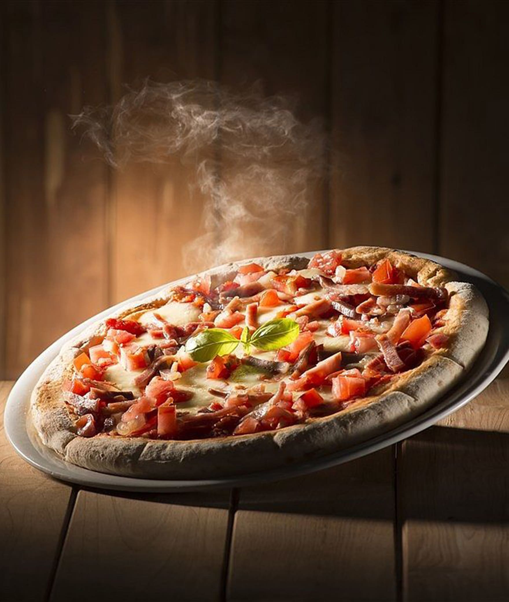 Delight Pizza Point (Civil Lines) - Logo