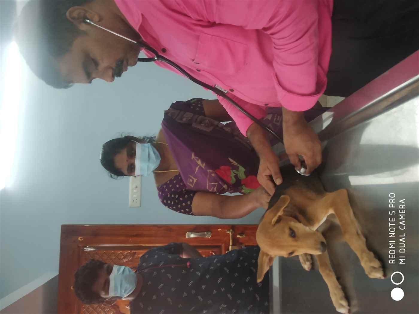 Delta Pet Clinic - Cover photo