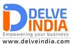 Delveindia Com 444762 - Logo