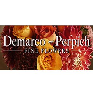 Demarco-Perpich Design Inc - Logo