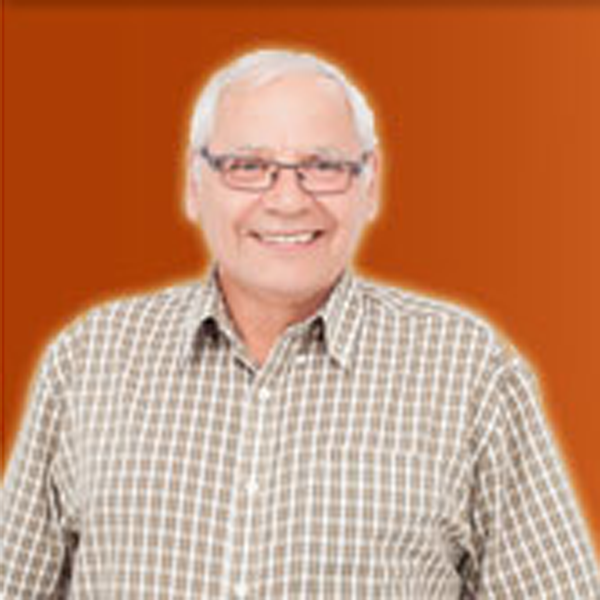 Denis Hamel Agent Immobilier - Logo