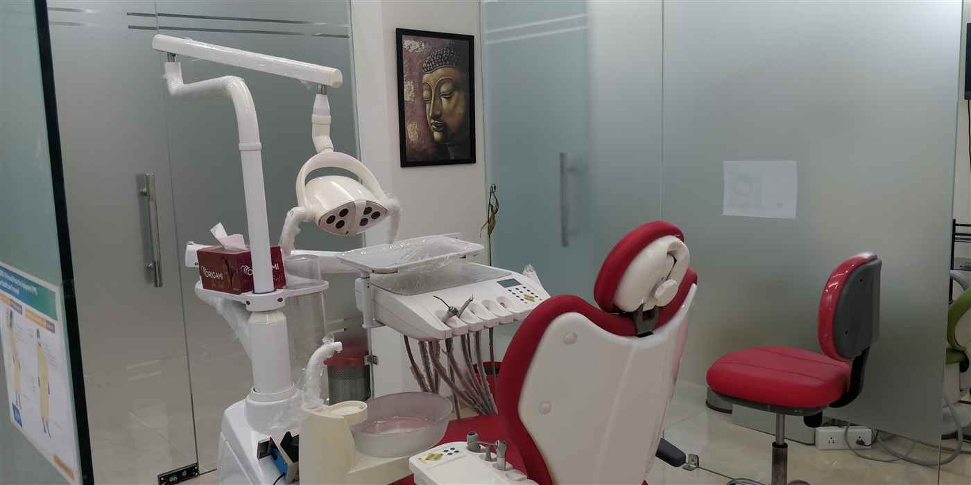 Dental Arch - Cover photo