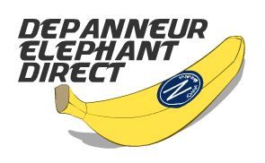 Depanneur Shine - Logo