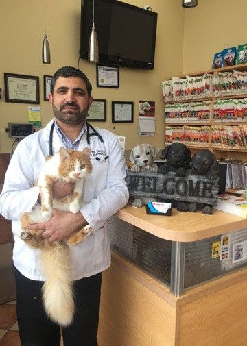 Derry Village Animal Clinic - Cover photo