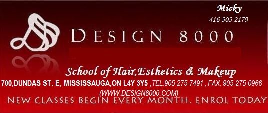 Design 8000 Hair Styling School Ltd - Logo