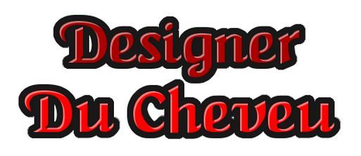 Designer Du Cheveu - Logo