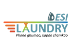 Desi Laundry - Logo