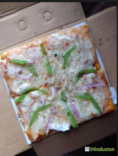 Desi Pizza Lovers - Logo