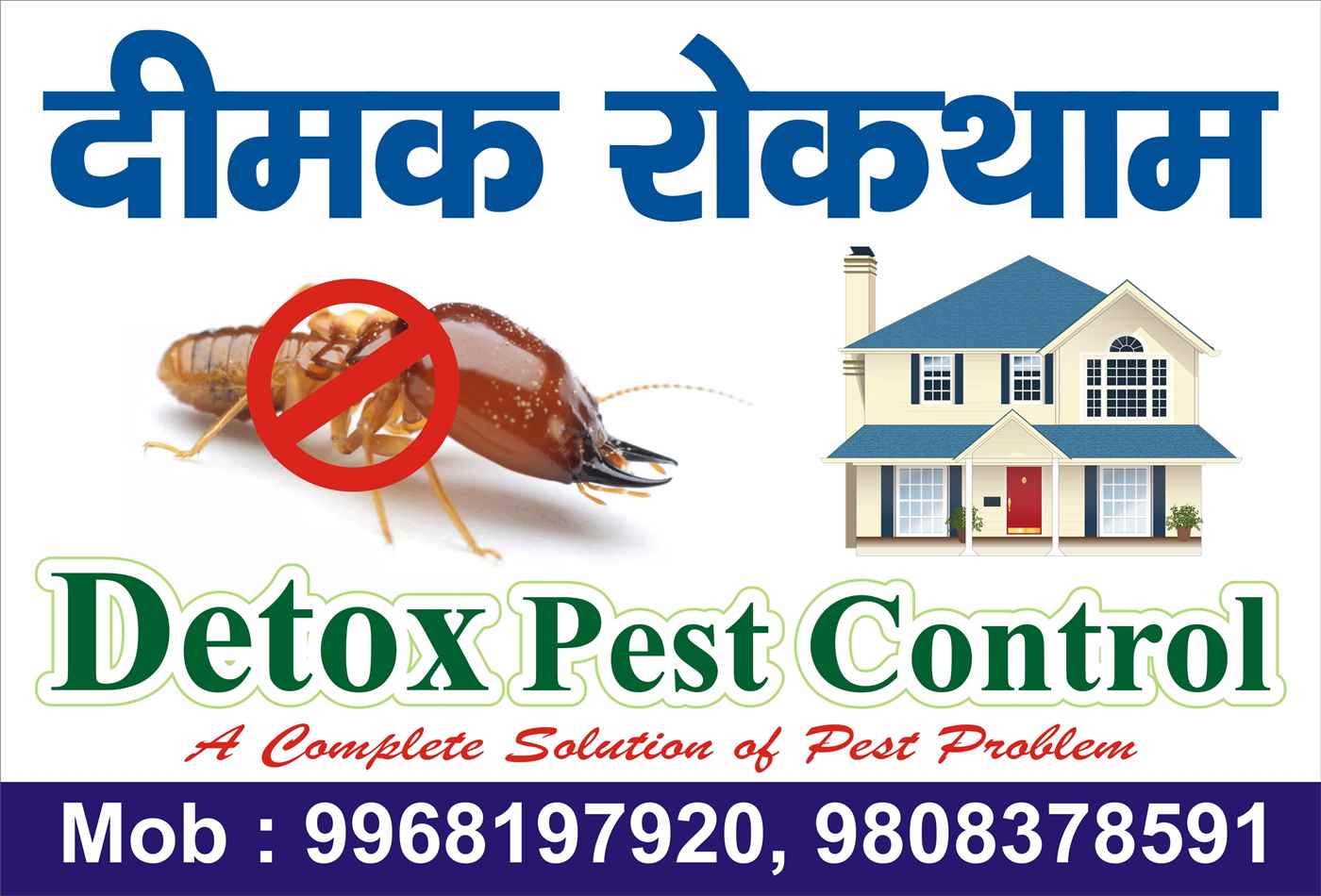 Detox Pest Control - Cover photo