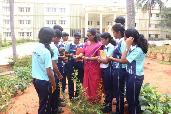 Devamatha CMI International School (IGCSE) - Logo