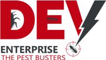 Dev Enterprise - Cover photo