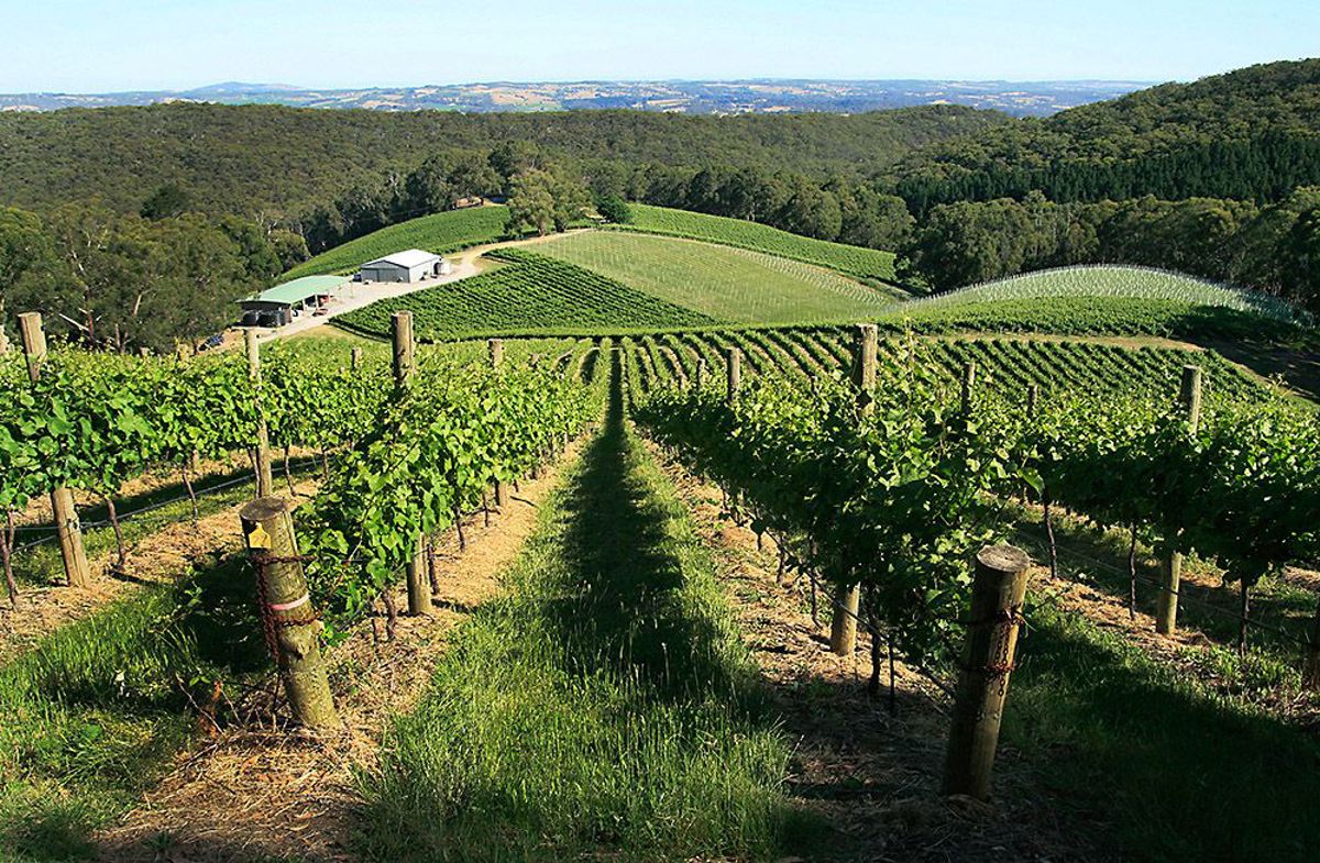 Deviation Road Winery - Logo