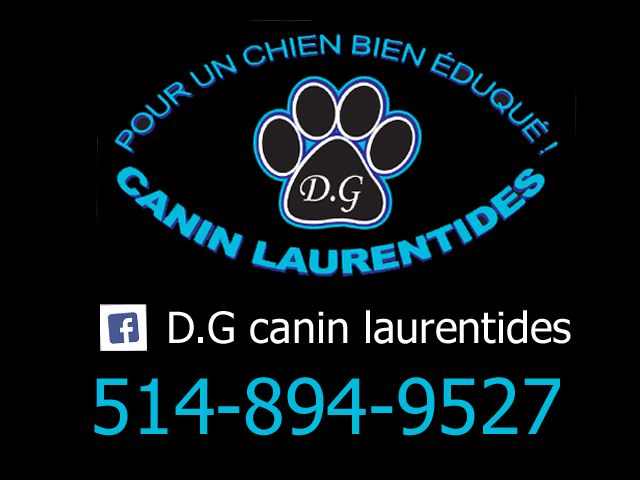 D.G Canin Laurentides - Cover photo