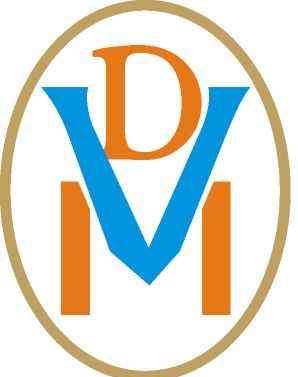 Dgtal Veb Media - Cover photo