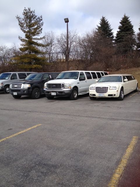 Diamond Limousine - Logo