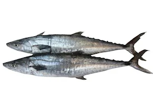 Diamond Sea Food - Logo