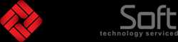 Digisoft Services 138003 - Logo