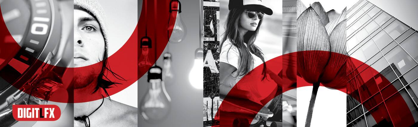 Digit L FX - Cover photo