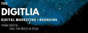 Digitlia - Cover photo
