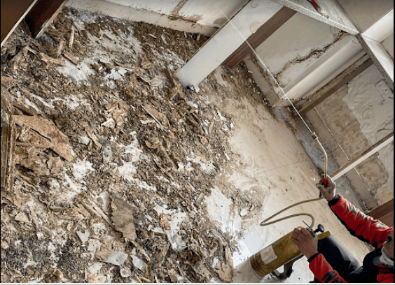 DI Pest Control And Interiors - Cover photo