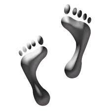 Discover Reflexology - Cover photo
