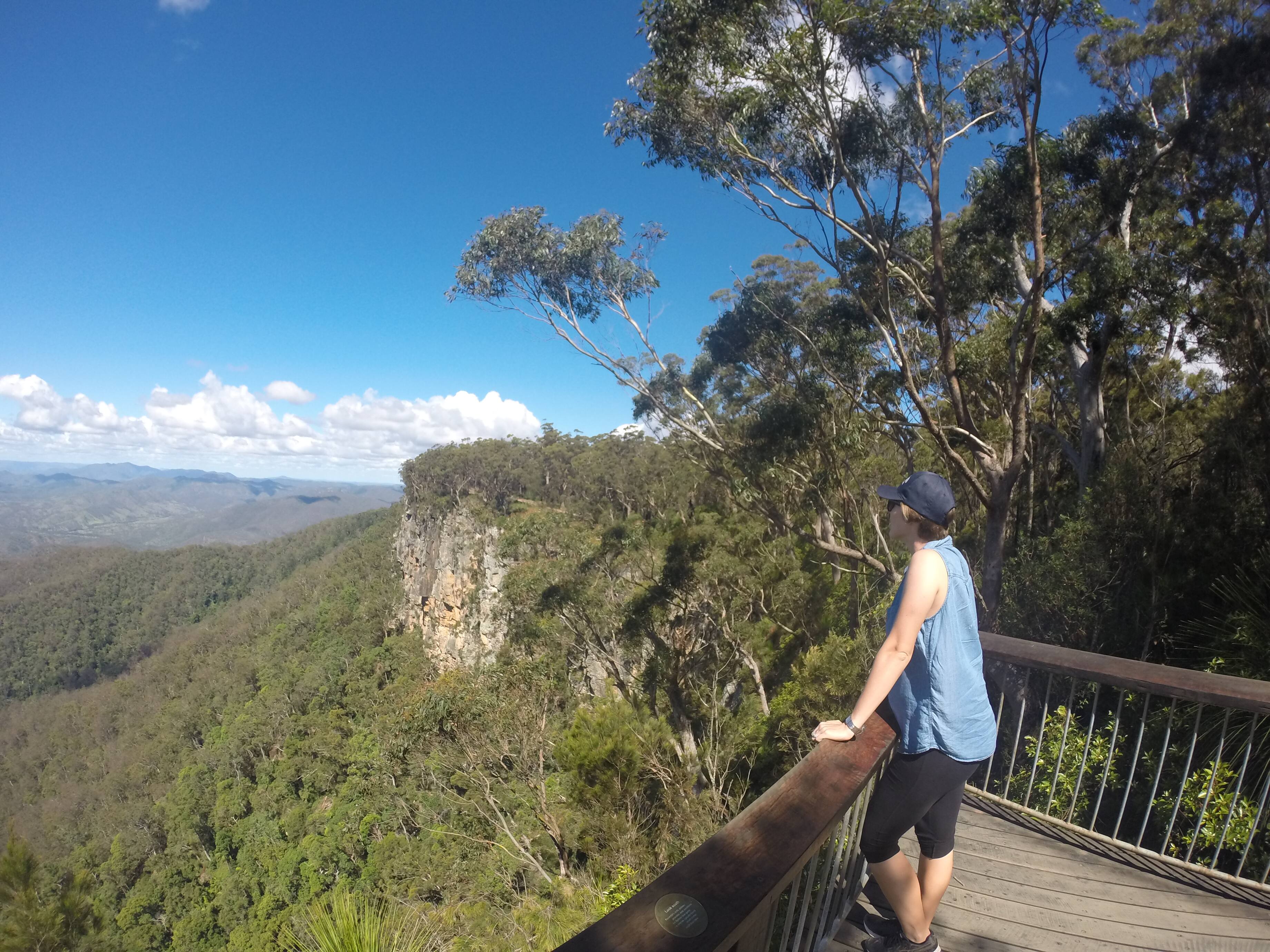 Discover The Hinterland Tours - Cover photo