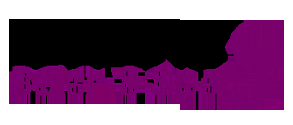 Divine Salon &a; Spa - Logo