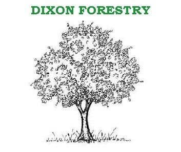 Dixon Forestry - Logo