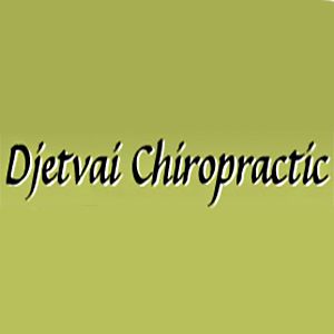 Djetvai Chiropractic - Logo