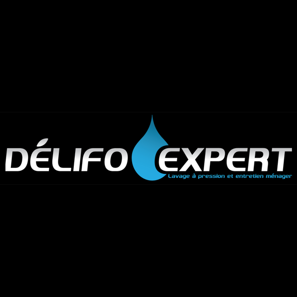 Délifo Expert - Logo
