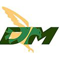 D.M. Sécurité - Logo