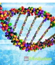 DNA LABS INDIA - Logo
