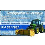 Déneigement S. Lévesque - Logo