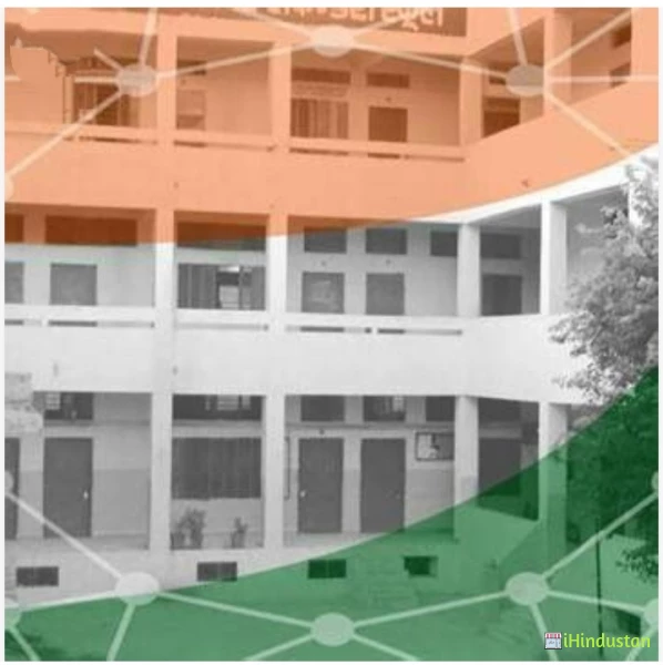 D.N Public Senior Secondry School - Logo