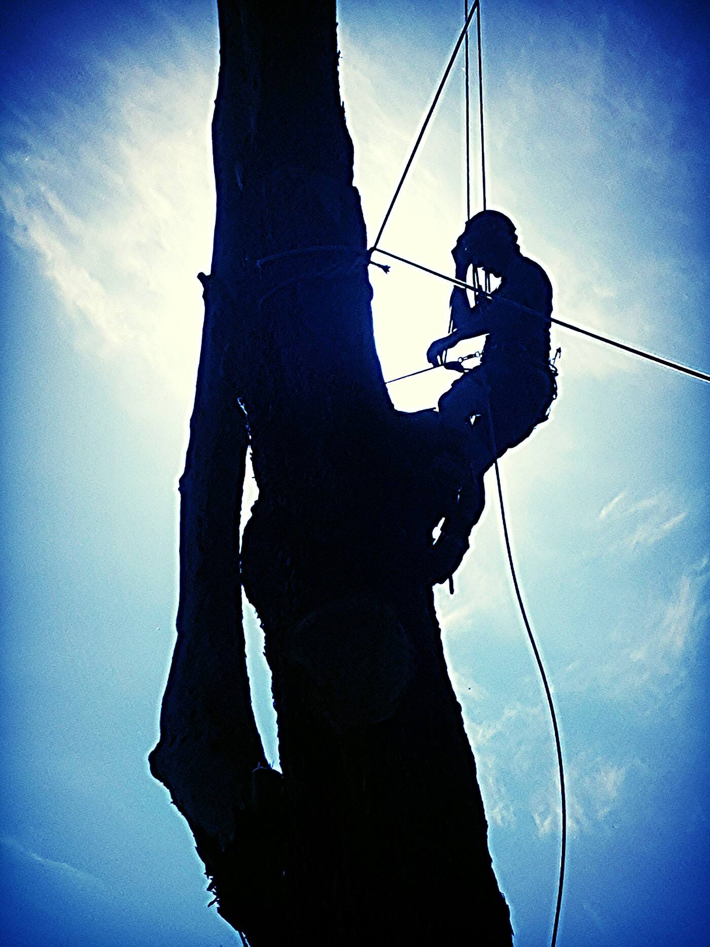 DNR Tree Service - Cover photo