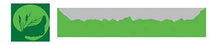Dochi Clinique Du Corps - Logo